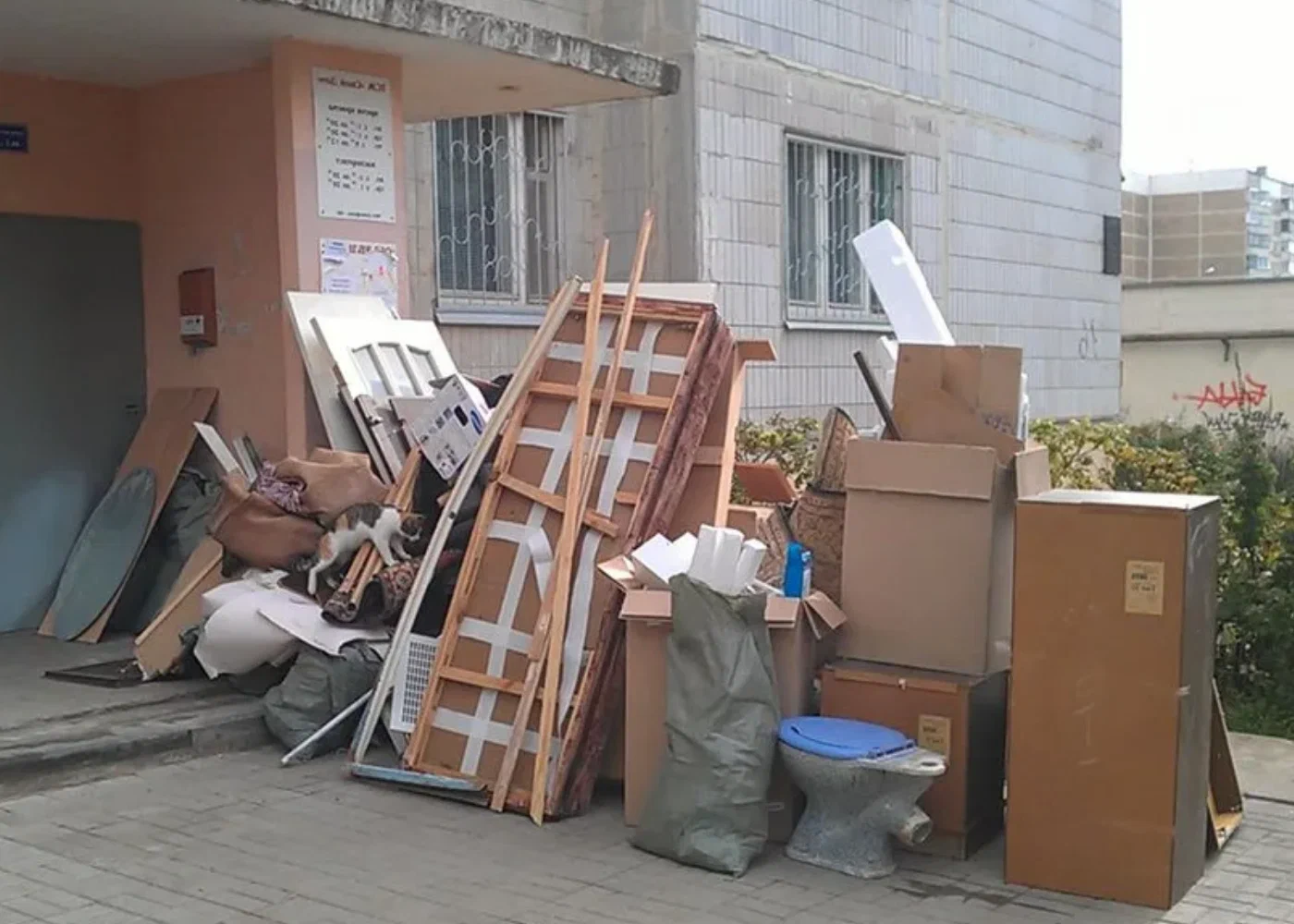 Профессиональный вывоз мусора из квартиры в Большой Камне в октябре