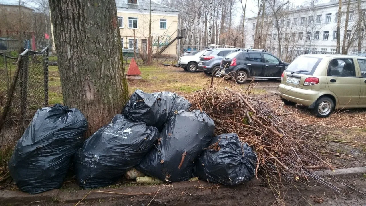 Вывоз мусора после субботника в Большой Камне от ПроМусор – уборка и утилизация отходов от 2383 руб