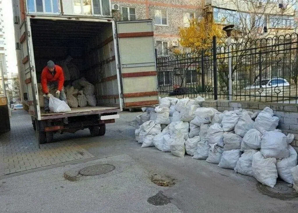 Вывоз мусора после переезда в Большой Камне в октябре