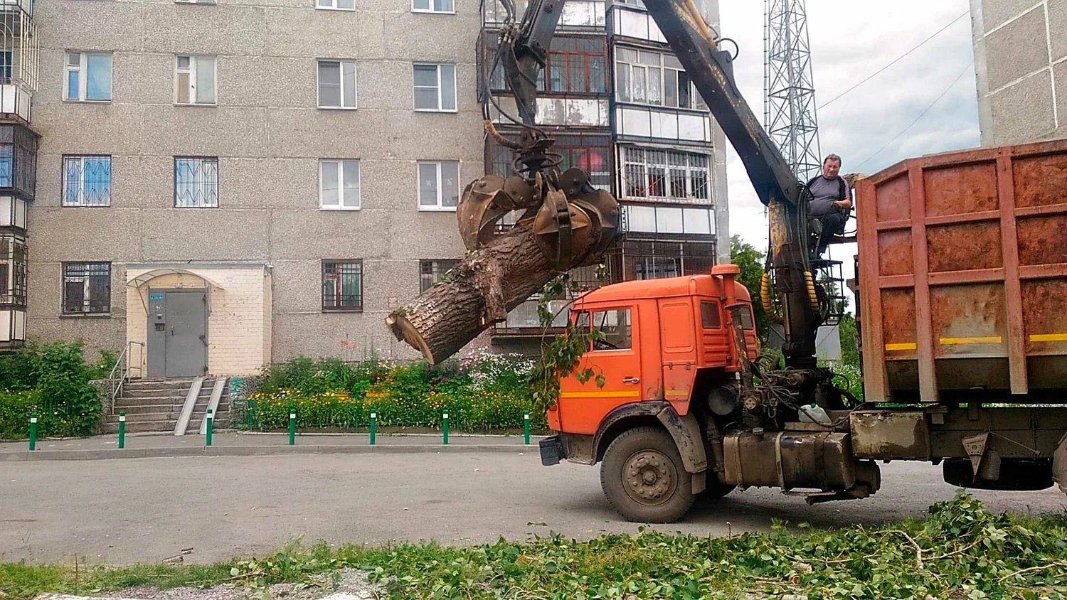 Вывоз спиленных веток и деревьев в Большой Камне от ПроМусор: порубочные остатки, утилизация, цена от 2941 руб