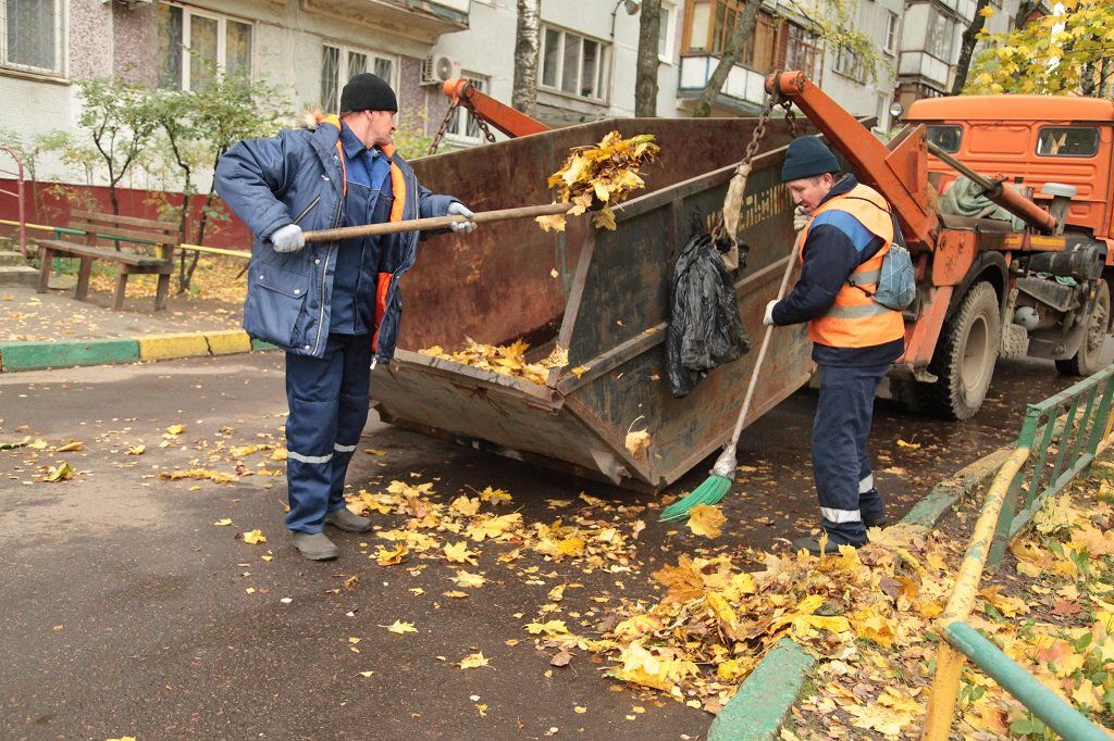 Вывоз опавшей листвы и растительного мусора в Большой Камне от ПроМусор – цена от 4563 руб., быстрая уборка и утилизация